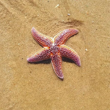 Les Pieds Dans L'eau