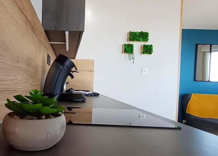 Les Pieds Dans L'eau Saint Gilles Croix de vie