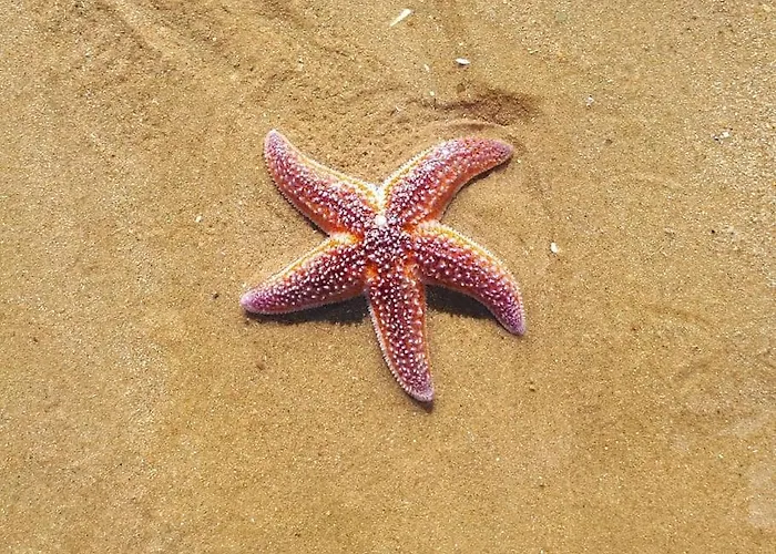 Les Pieds Dans L'eau